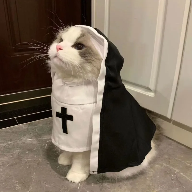 Anime Cosplay Tiktok - Fantasia de freira para gato e