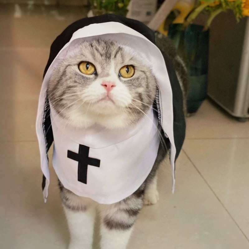Fantasia de freira para gato e - Anime Cosplay Tiktok avaliação e preço