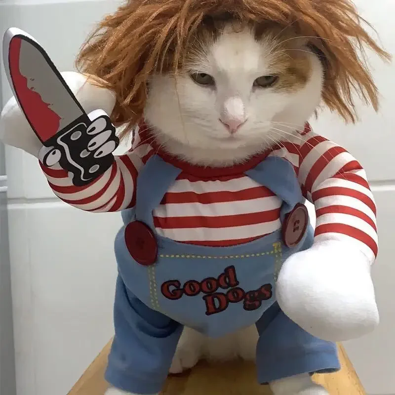 Fantasia Viral TikTok Chucky p - Anime Cosplay Tiktok avaliação e preço